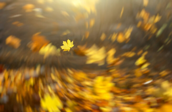 swirling fall leaves